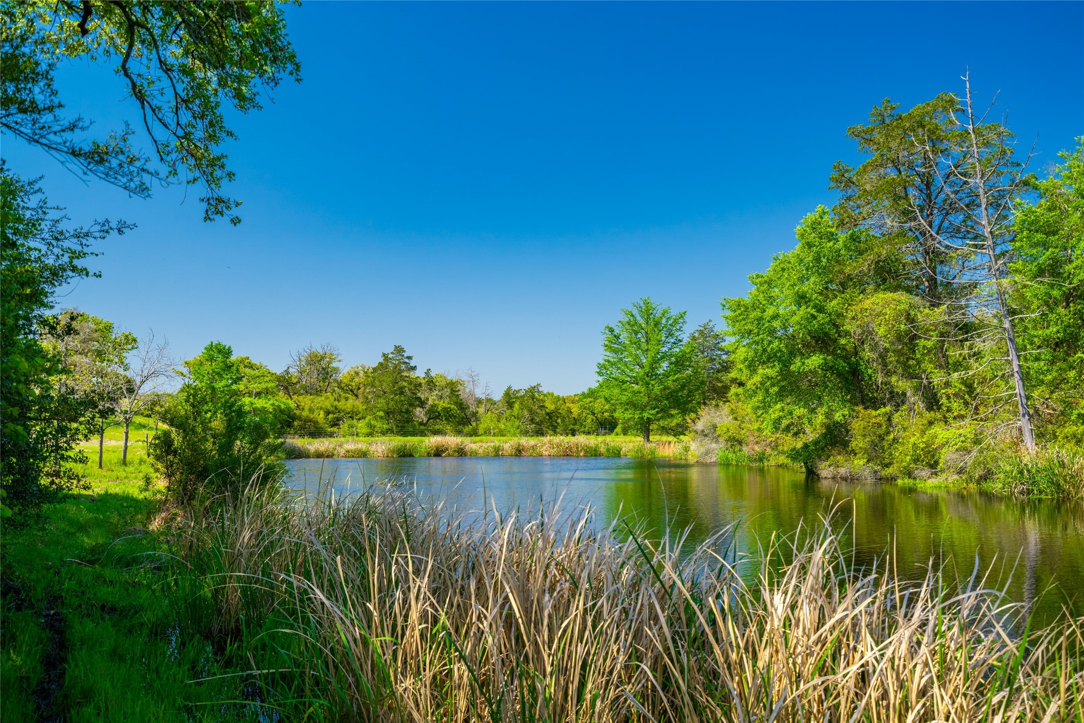 9002 County Road 374 Caldwell TX 77836