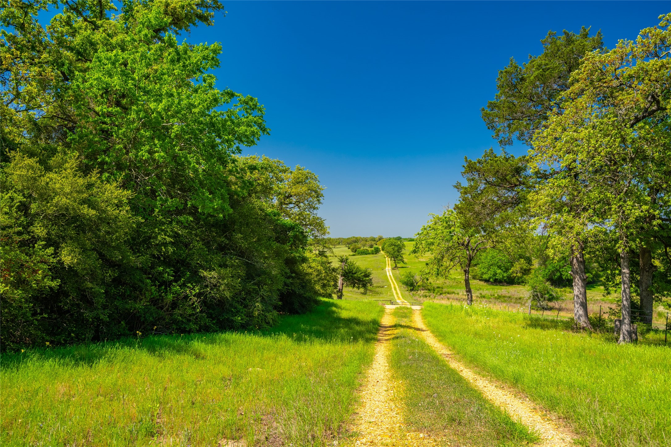 9002 County Road 374 Caldwell TX 77836