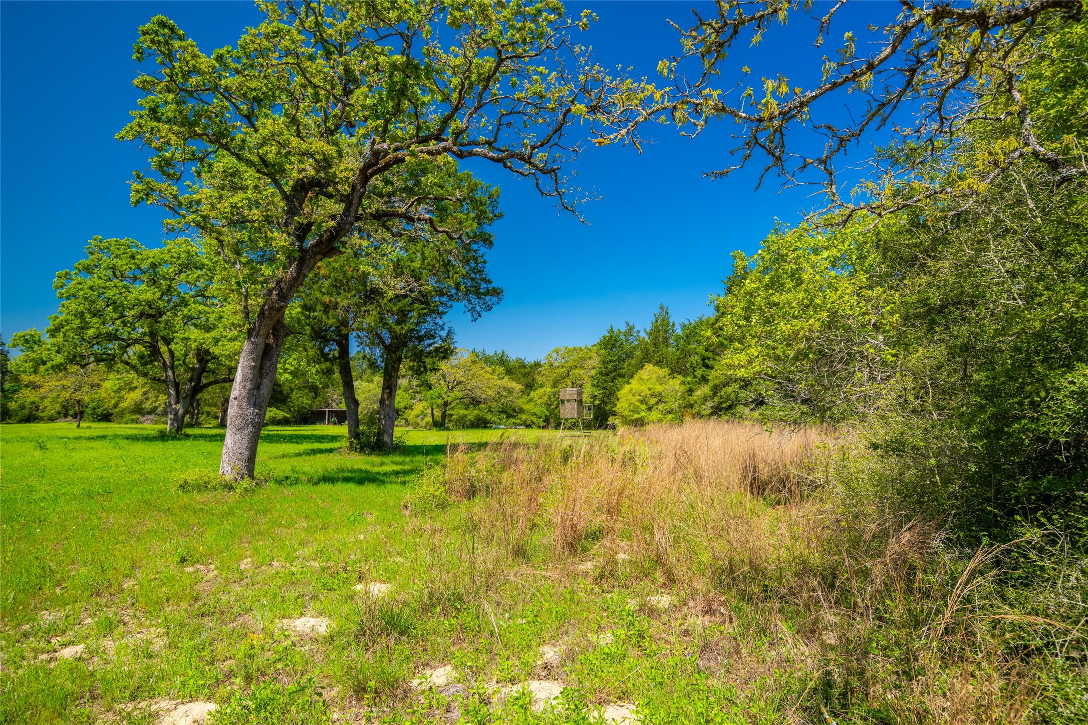 9002 County Road 374 Caldwell TX 77836