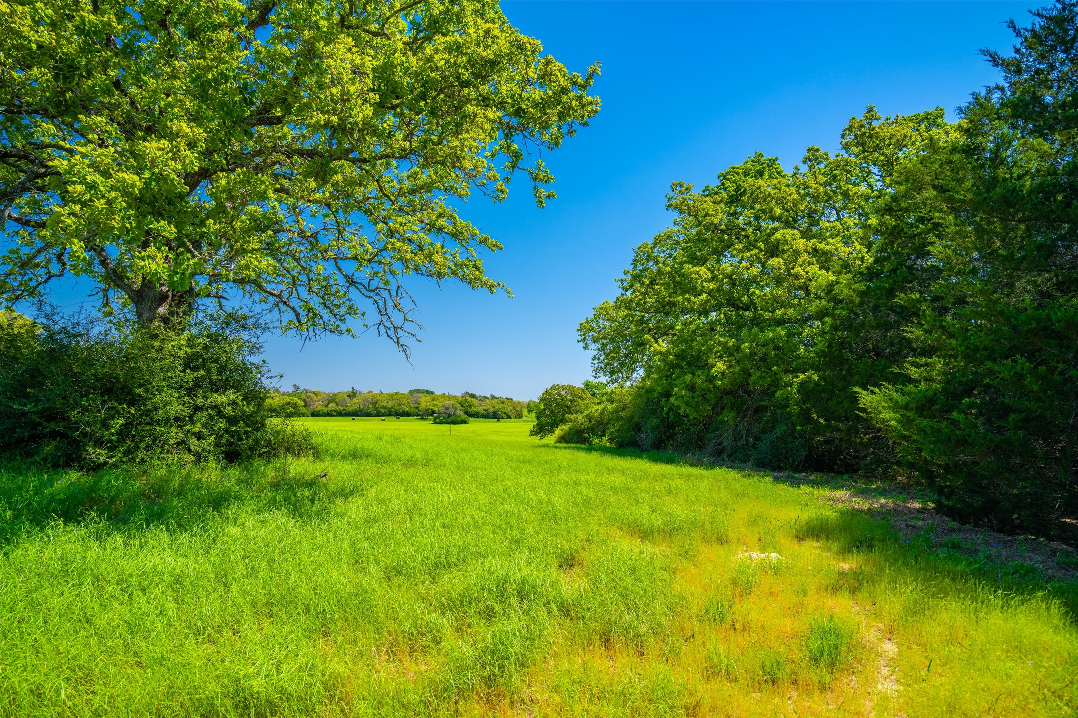 9002 County Road 374 Caldwell TX 77836