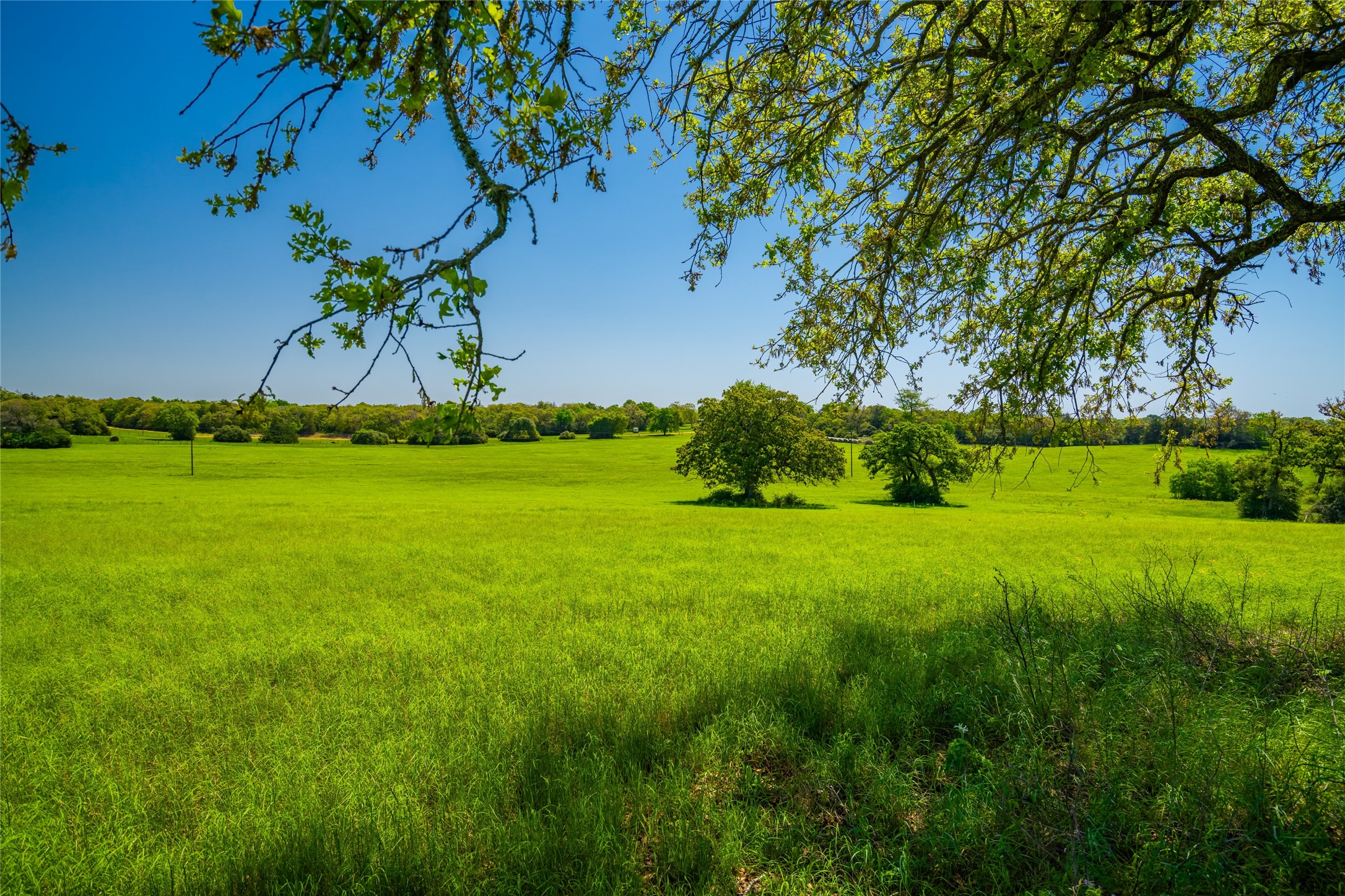 9002 County Road 374 Caldwell TX 77836