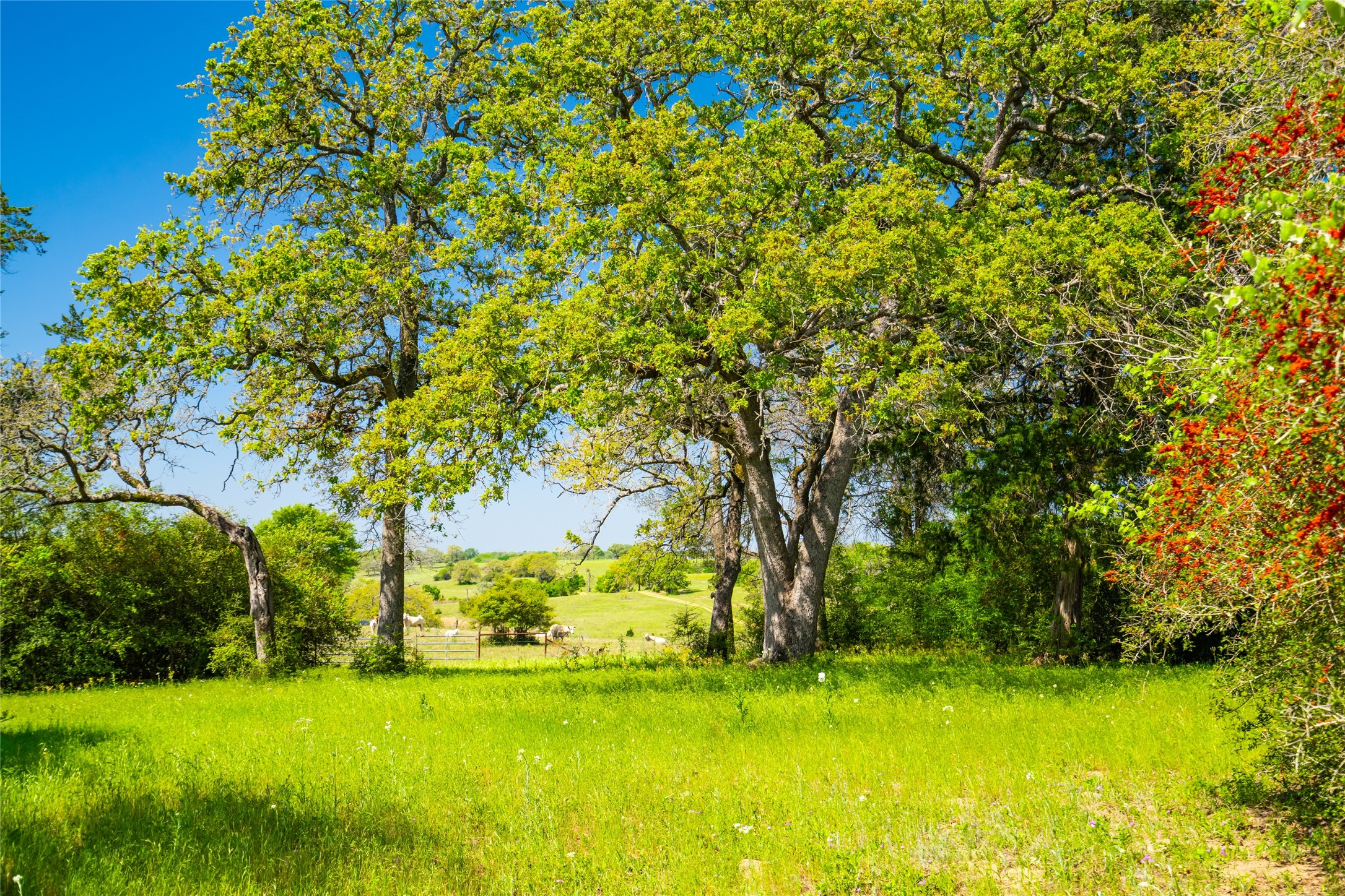 9002 County Road 374 Caldwell TX 77836