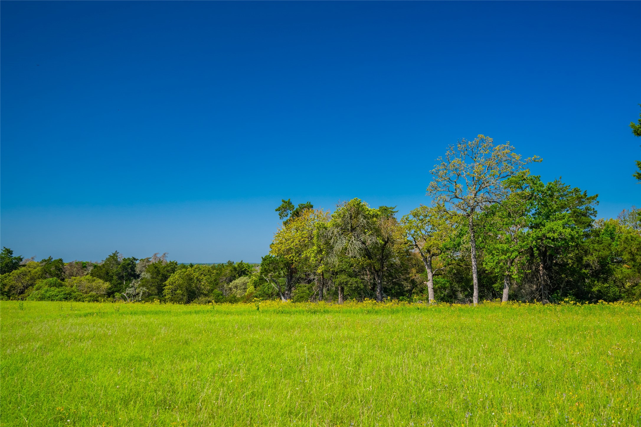 9002 County Road 374 Caldwell TX 77836
