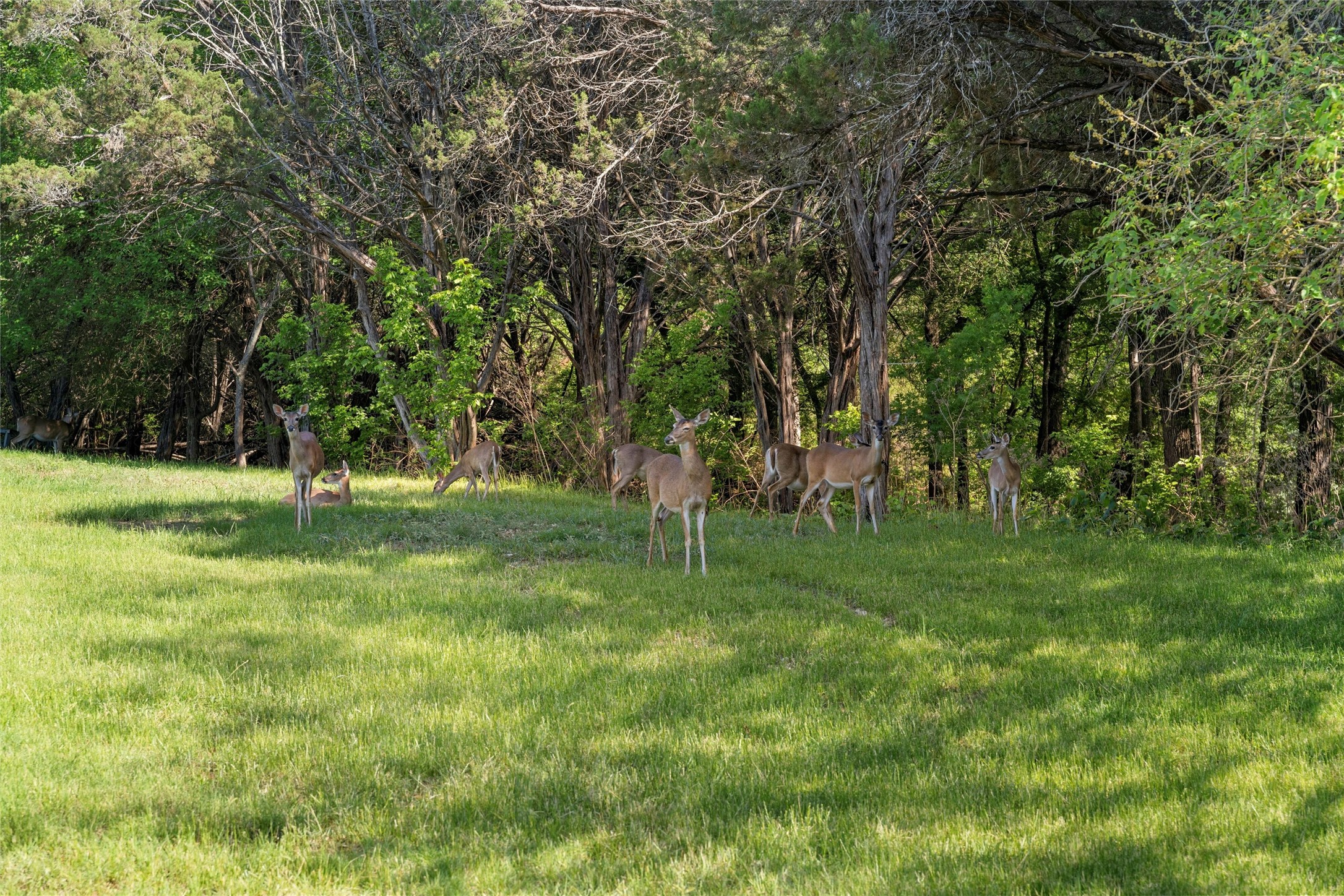 Lot 16 Rose Way Aquilla TX 76622