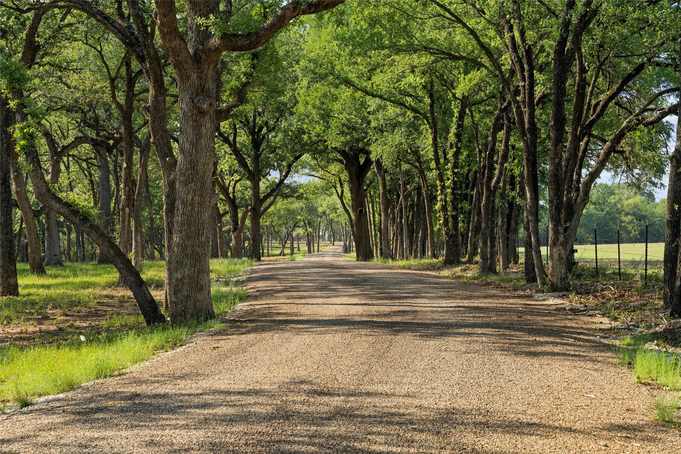 Lot 16 Rose Way Aquilla TX 76622