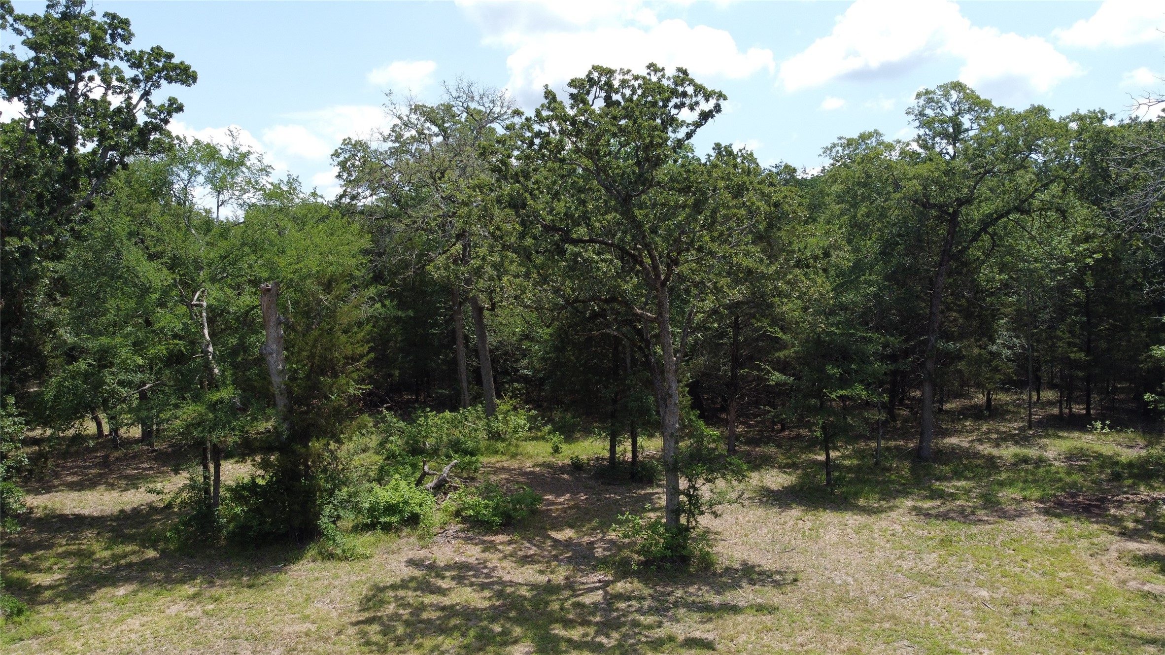 10417 Private Road 5211 Athens TX 75751