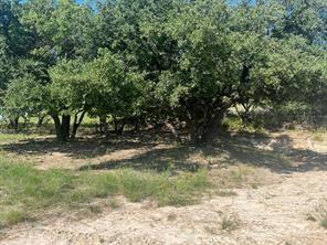 310 Glade Valley Road Azle TX 76020