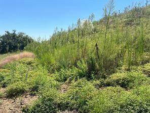 310 Glade Valley Road Azle TX 76020