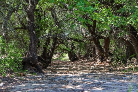 91 Acres Co Road 370 Carbon TX 76435