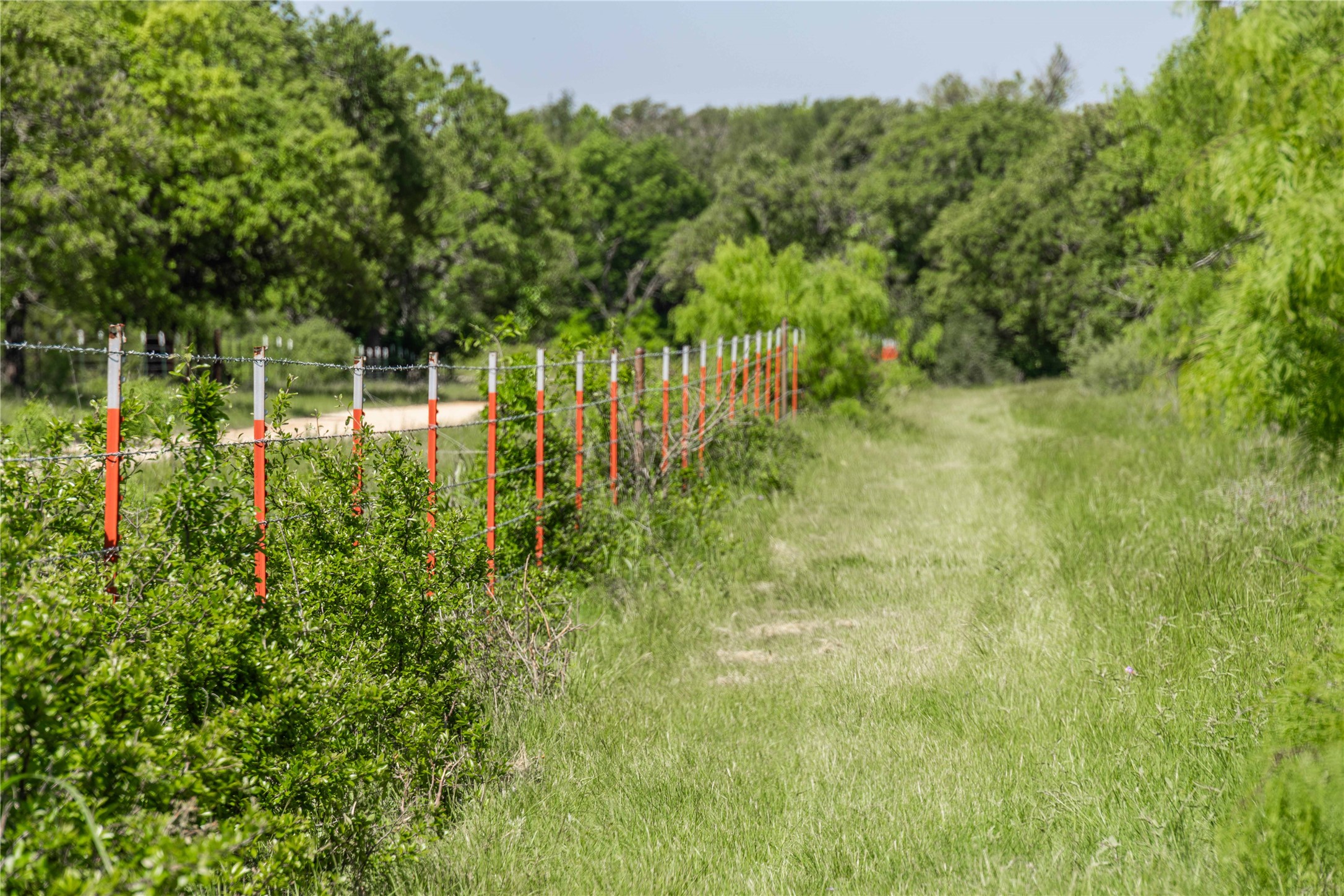 91 Acres Co Road 370 Carbon TX 76435