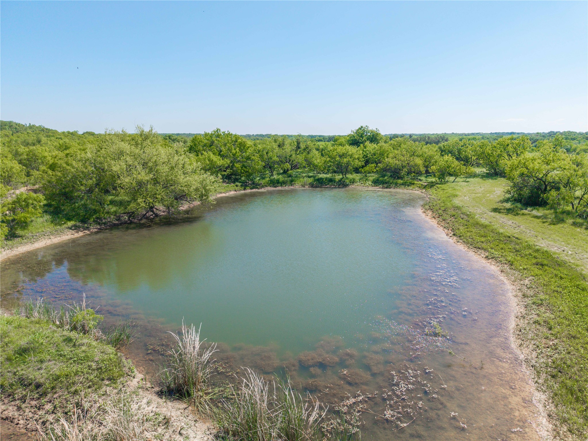 91 Acres Co Road 370 Carbon TX 76435