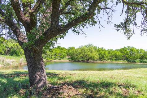 91 Acres Co Road 370 Carbon TX 76435