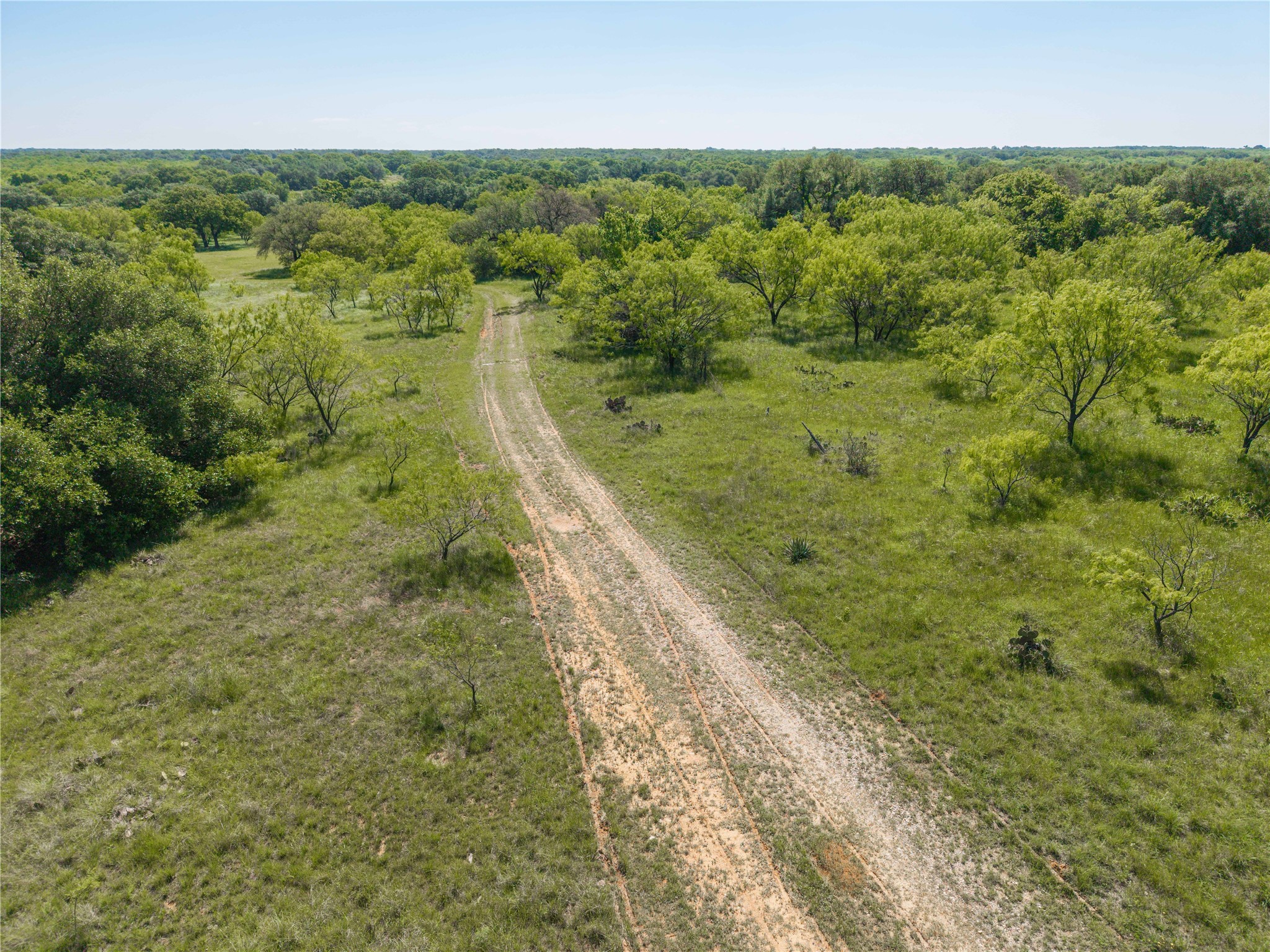 91 Acres Co Road 370 Carbon TX 76435