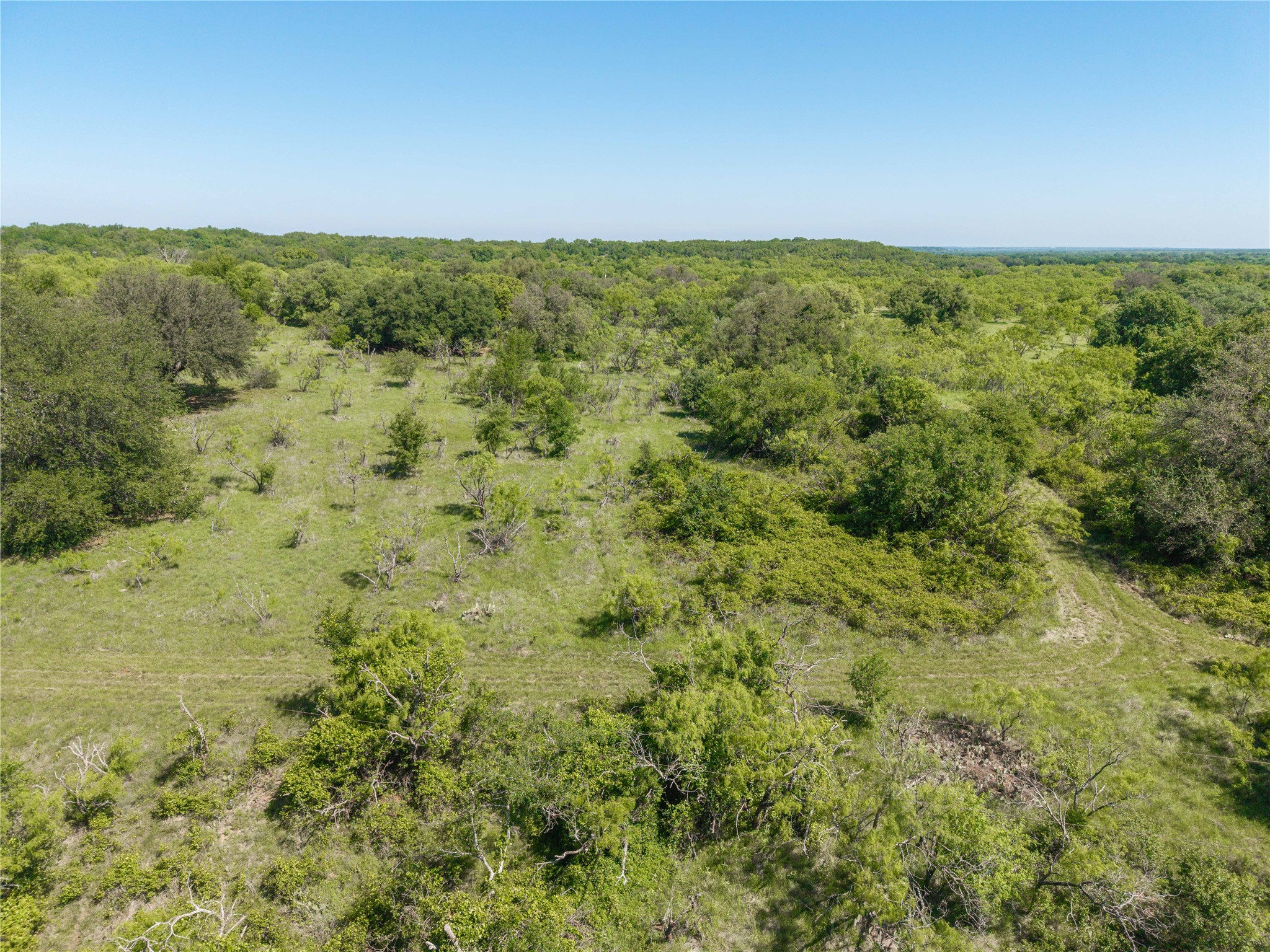 91 Acres Co Road 370 Carbon TX 76435