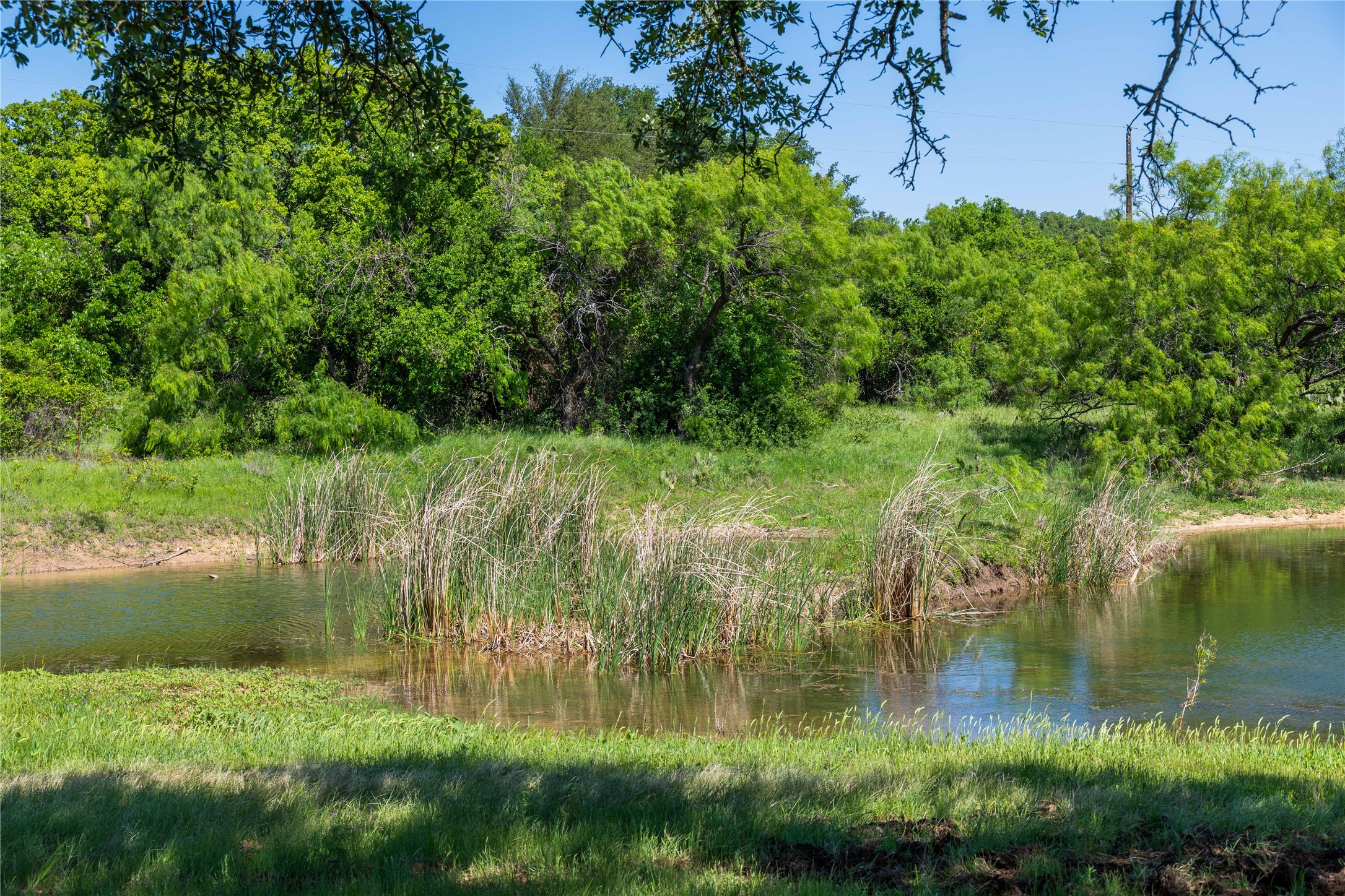 91 Acres Co Road 370 Carbon TX 76435
