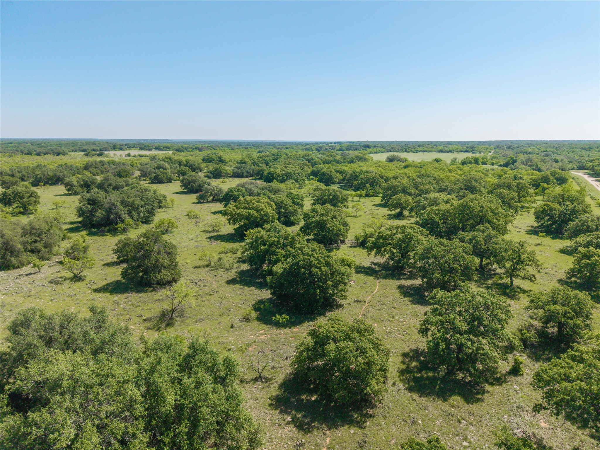 91 Acres Co Road 370 Carbon TX 76435
