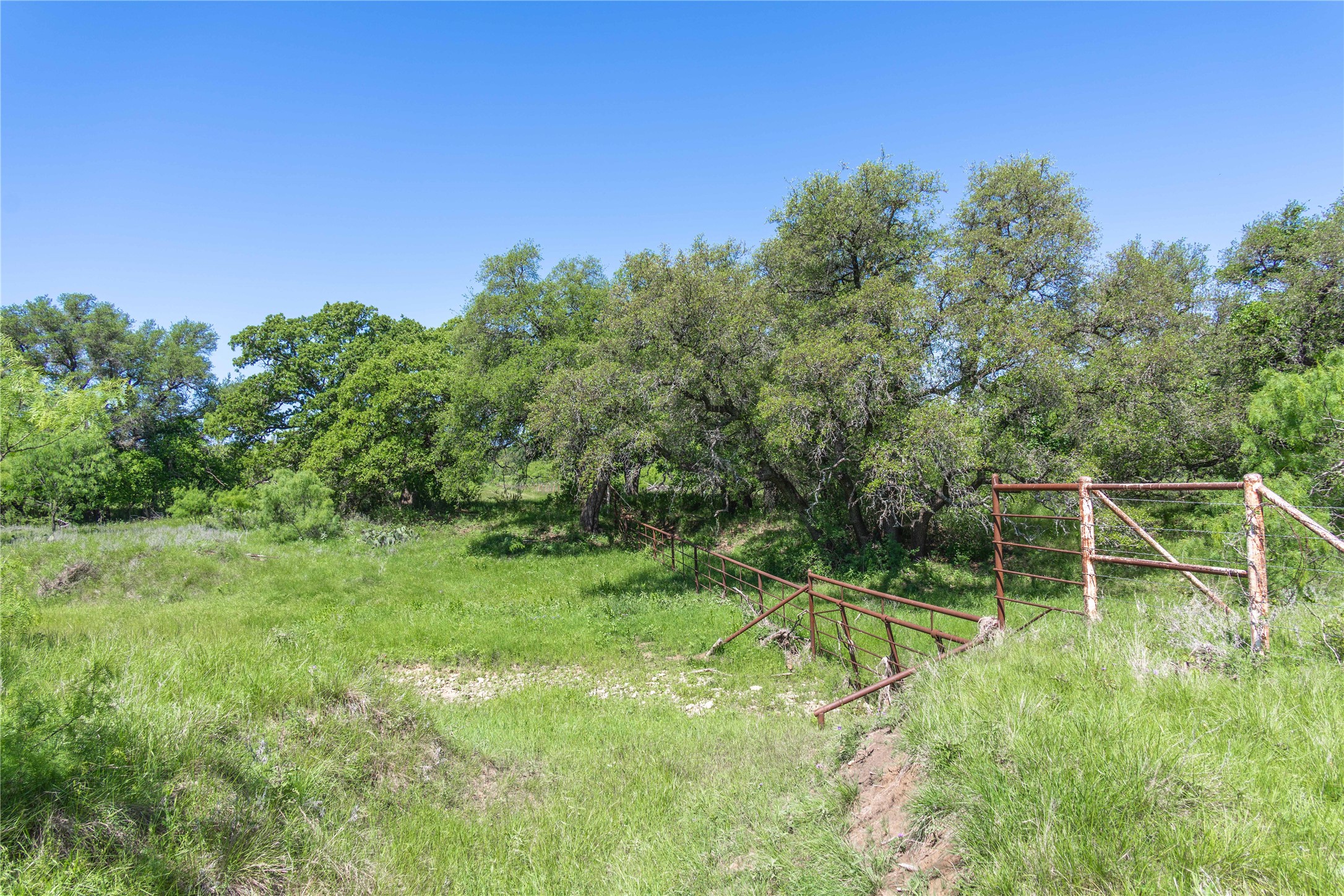 91 Acres Co Road 370 Carbon TX 76435