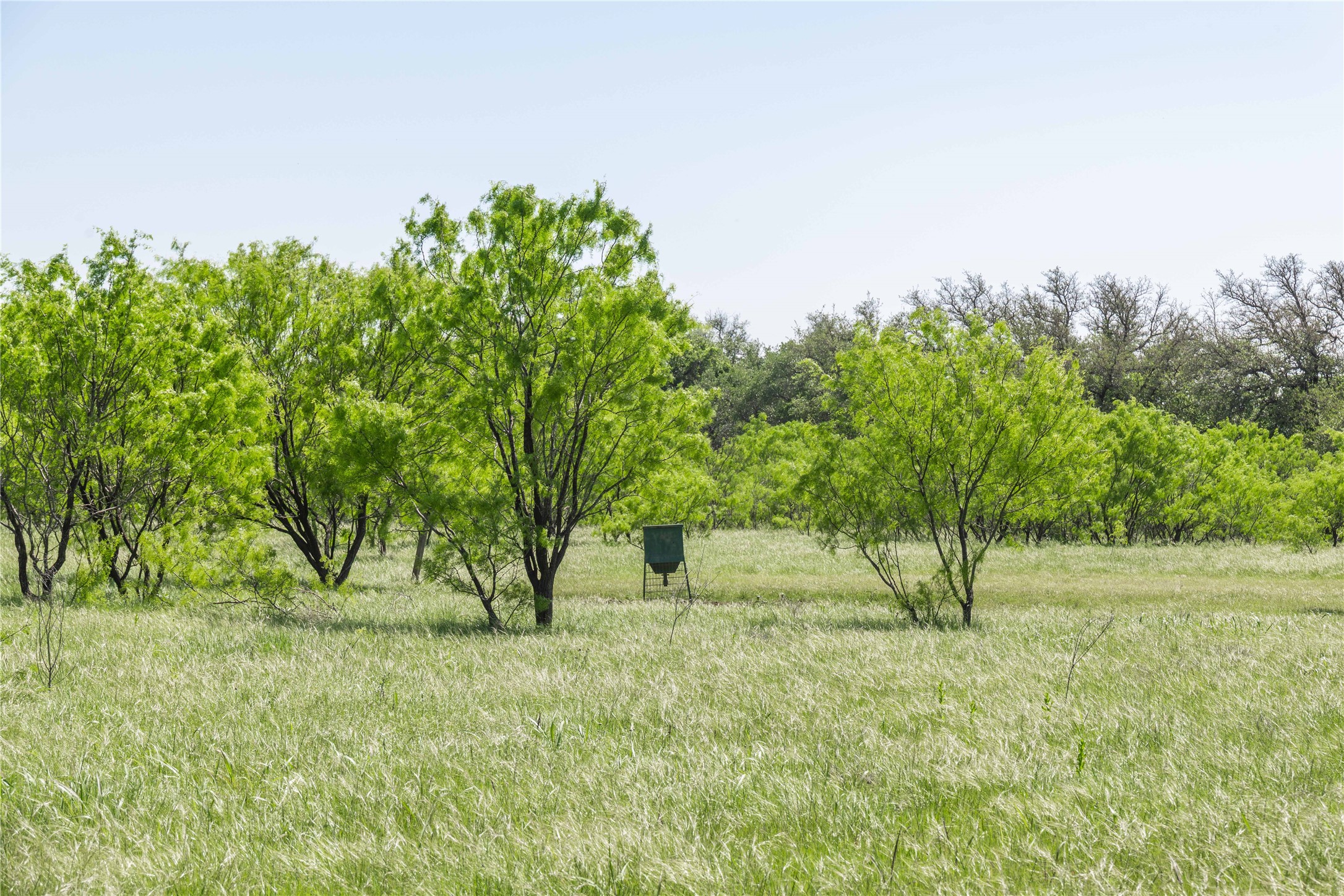 91 Acres Co Road 370 Carbon TX 76435