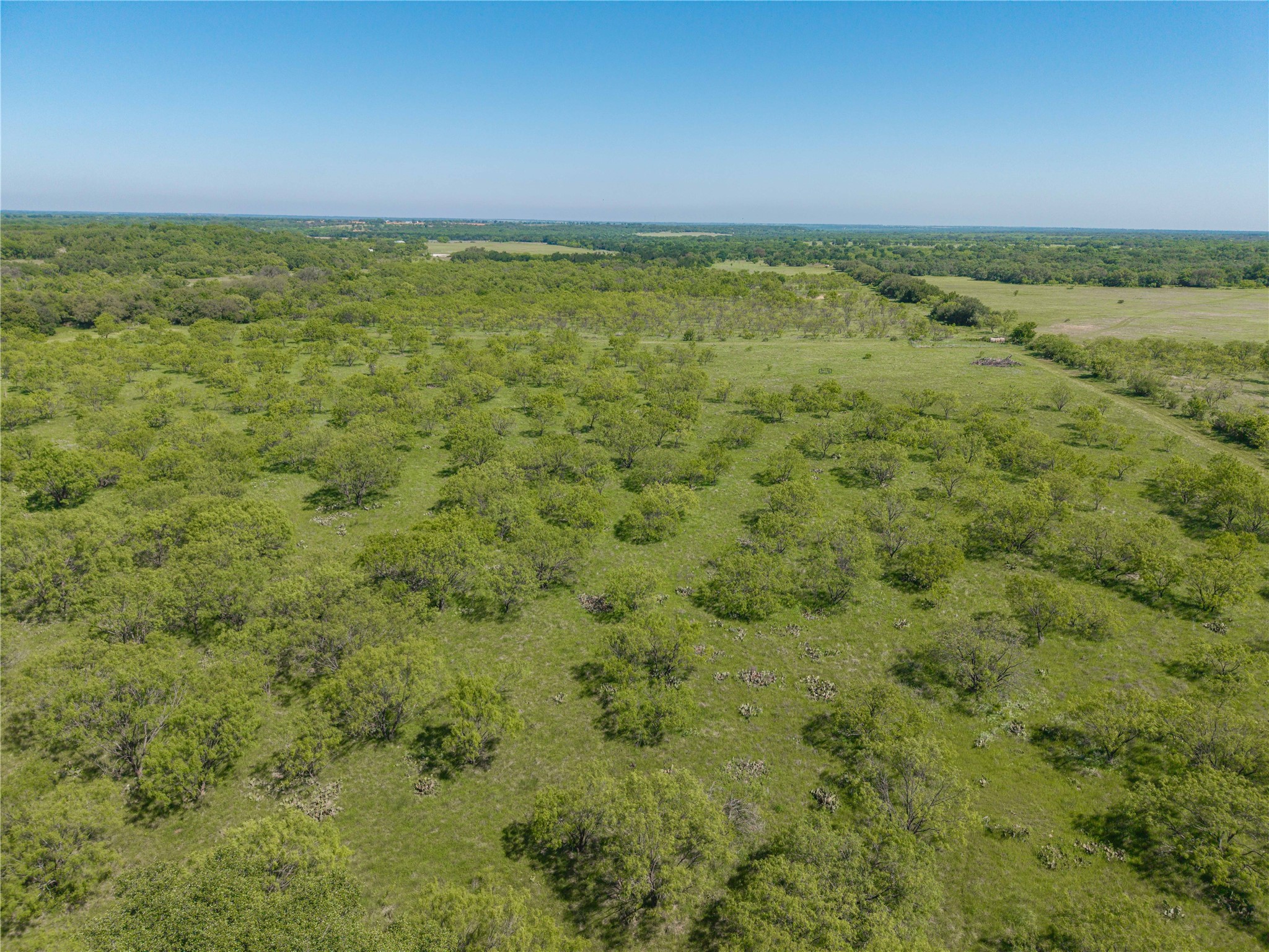 91 Acres Co Road 370 Carbon TX 76435