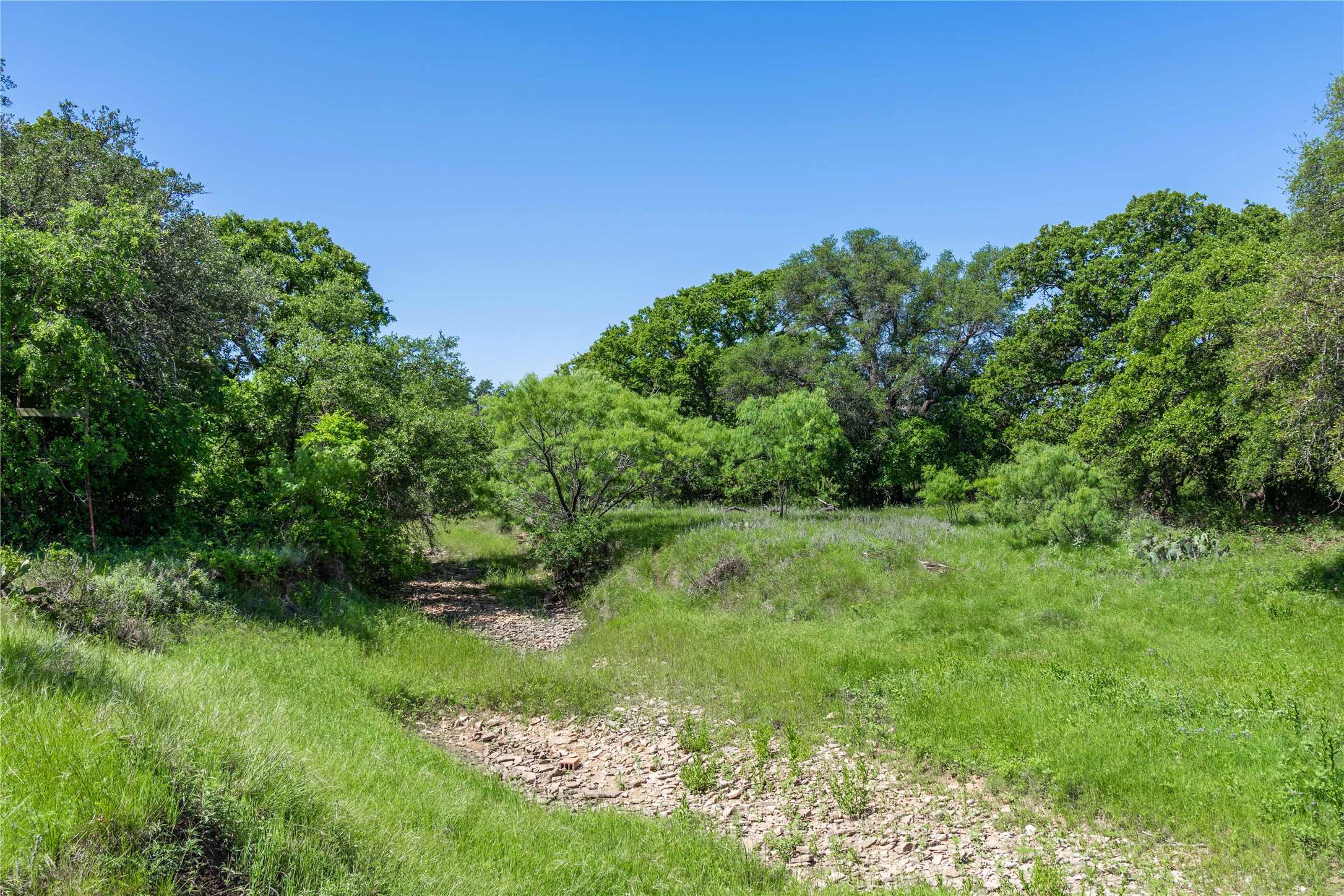 91 Acres Co Road 370 Carbon TX 76435
