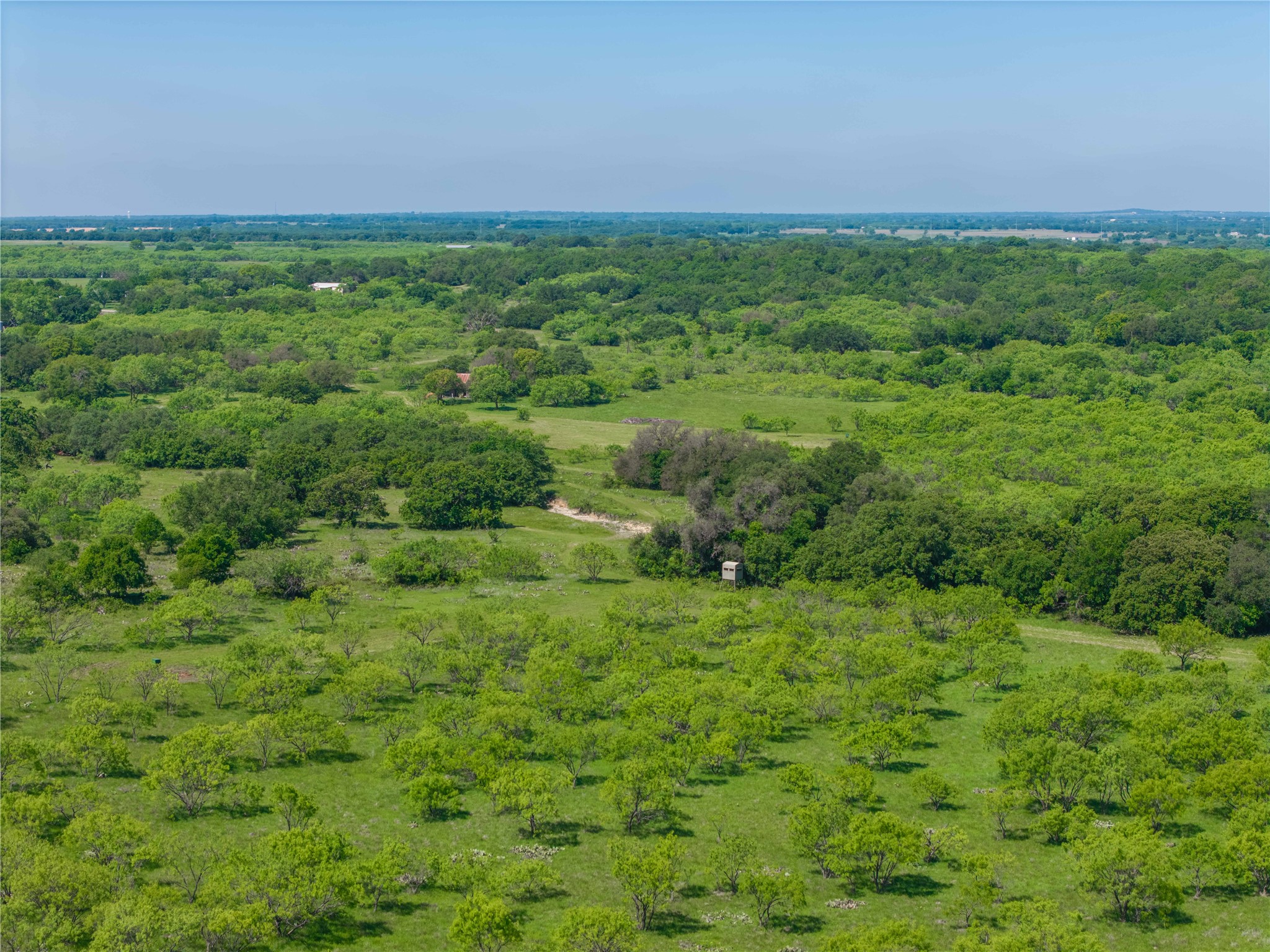 91 Acres Co Road 370 Carbon TX 76435