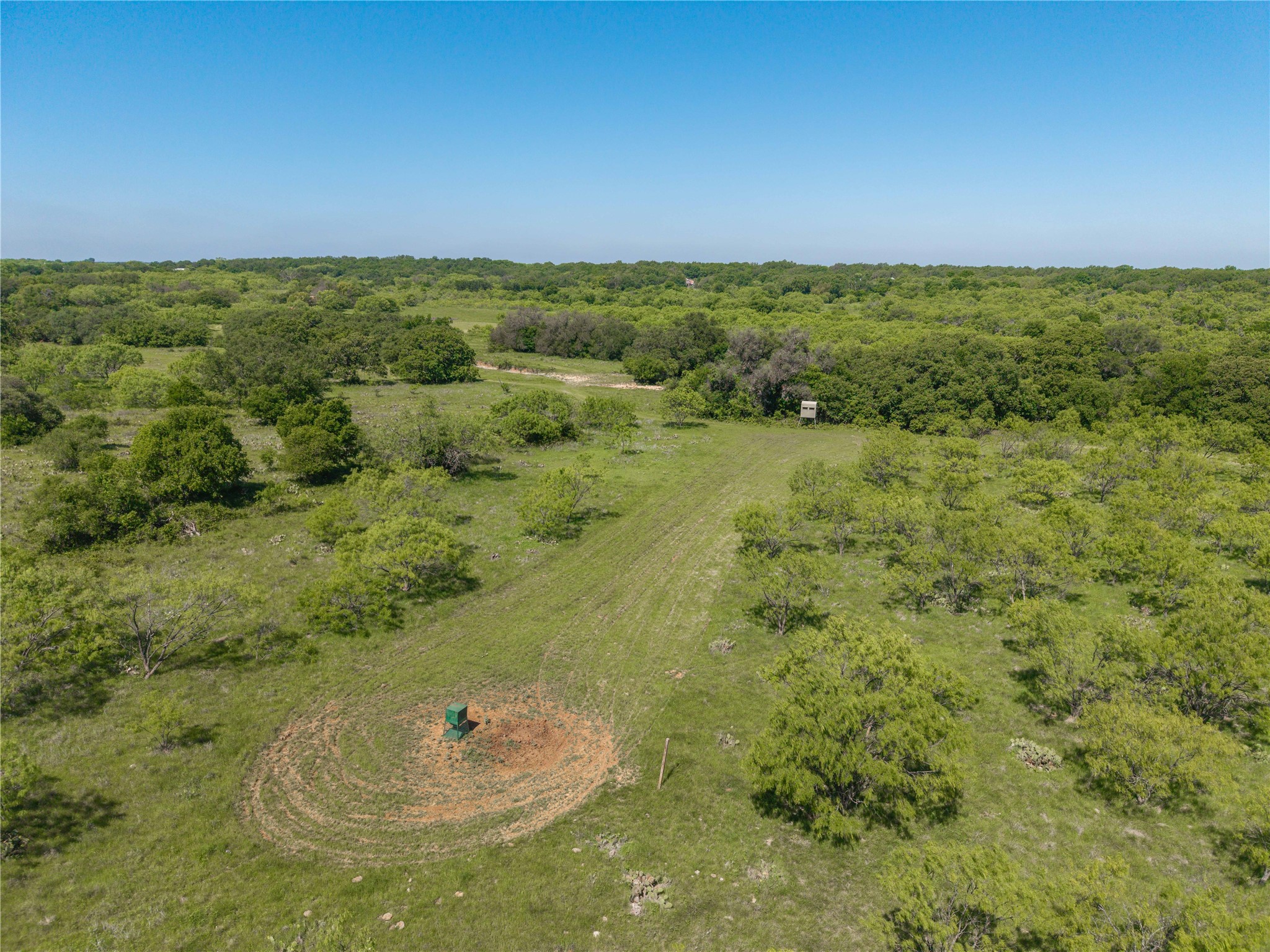 91 Acres Co Road 370 Carbon TX 76435