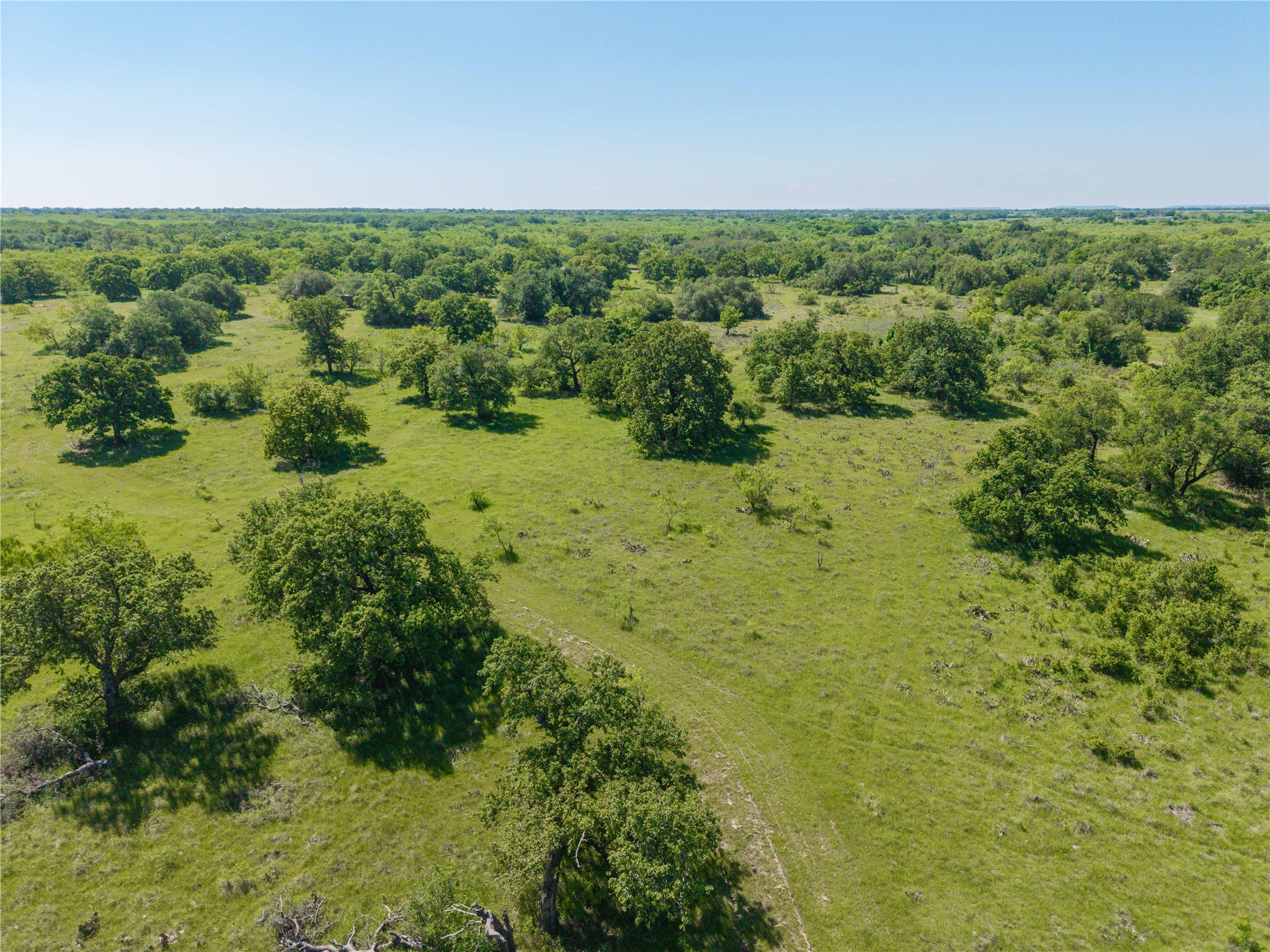 91 Acres Co Road 370 Carbon TX 76435