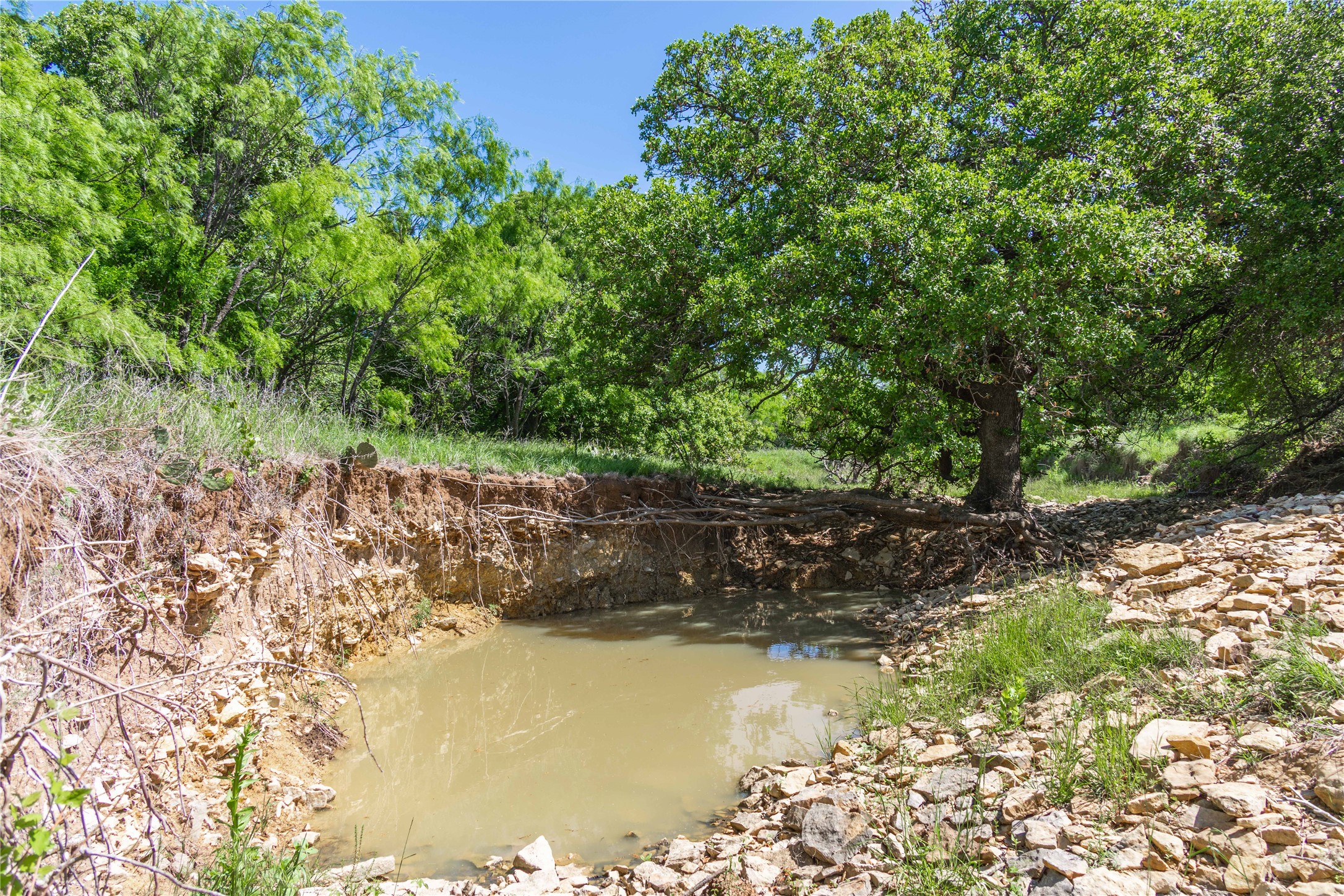 91 Acres Co Road 370 Carbon TX 76435