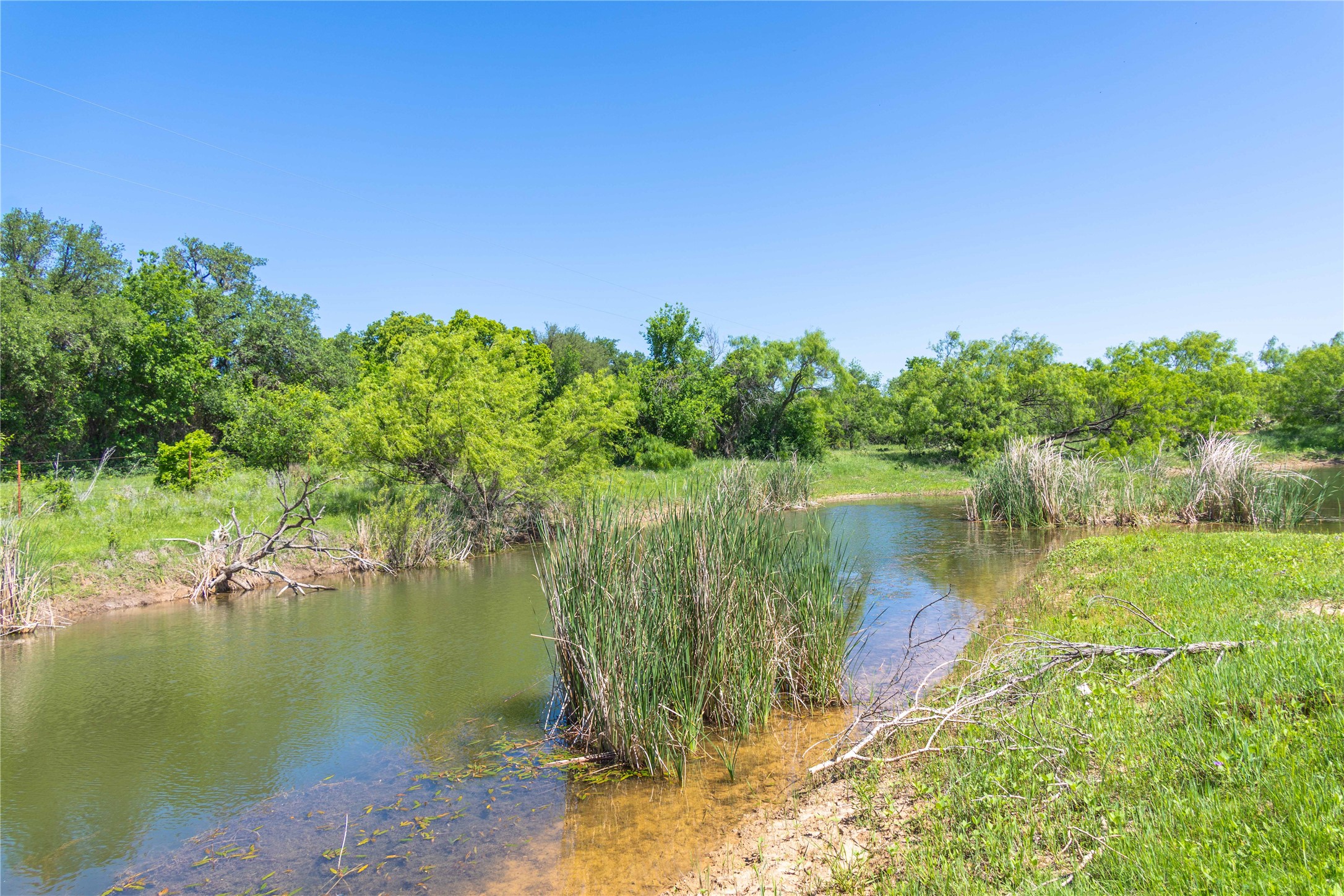 91 Acres Co Road 370 Carbon TX 76435