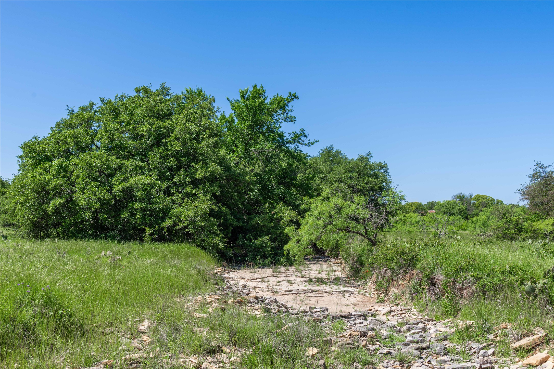 91 Acres Co Road 370 Carbon TX 76435