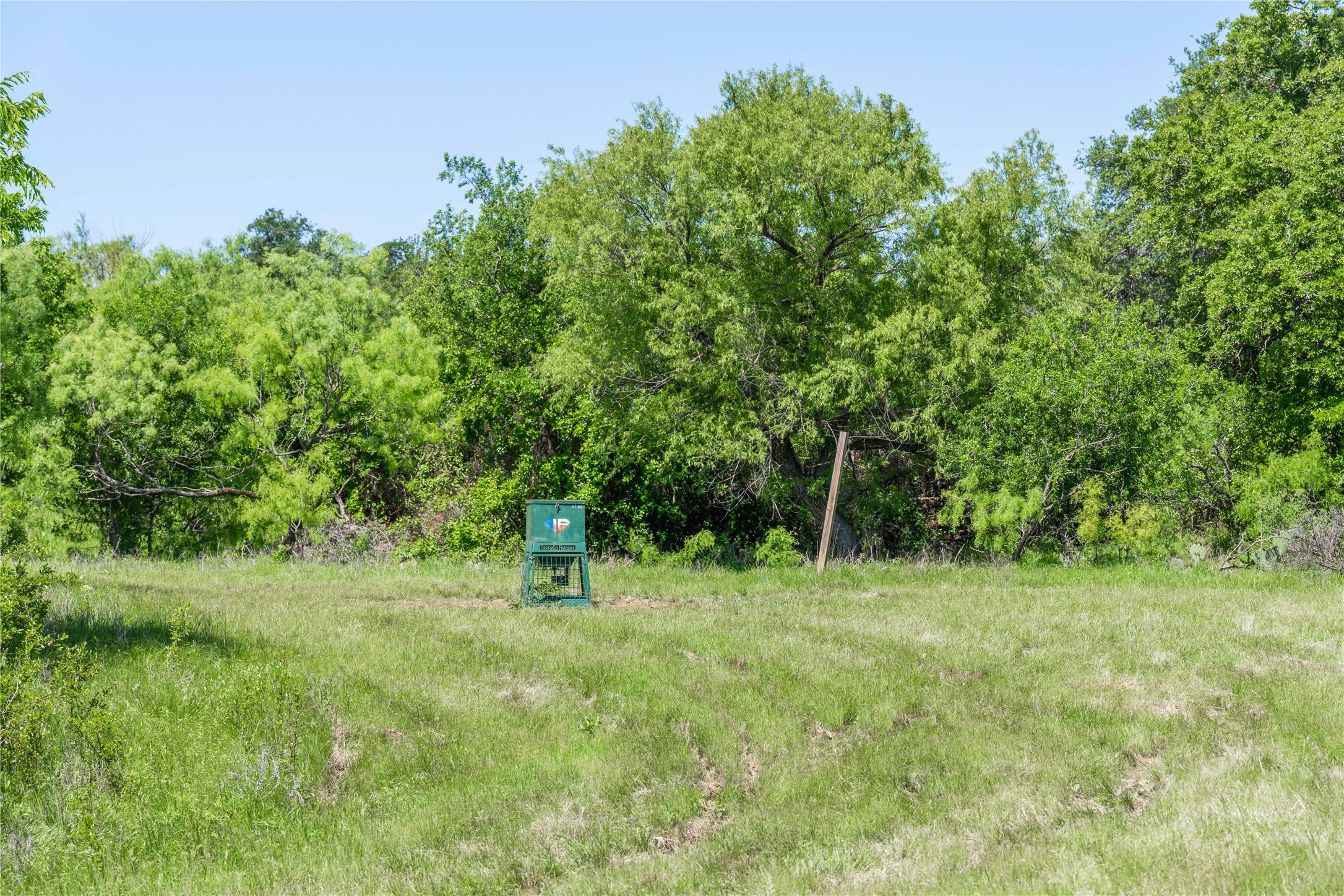 91 Acres Co Road 370 Carbon TX 76435