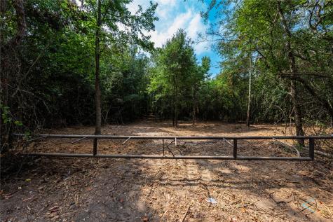 Tbd Cr 3606 Brownsboro TX 75756