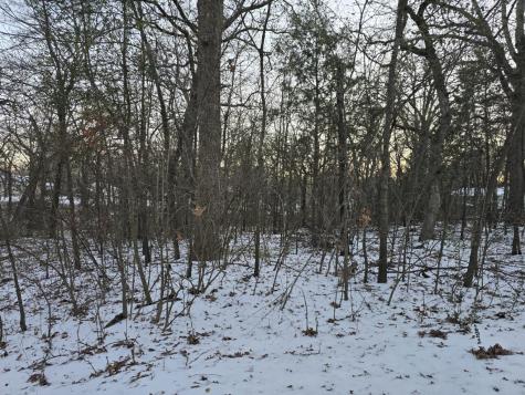 Lot 753 Doe Run Road Gun Barrel City TX 75156