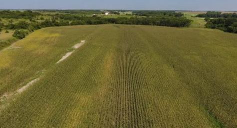 764 Hcr 3422 County Road 3422 Bynum TX 76631