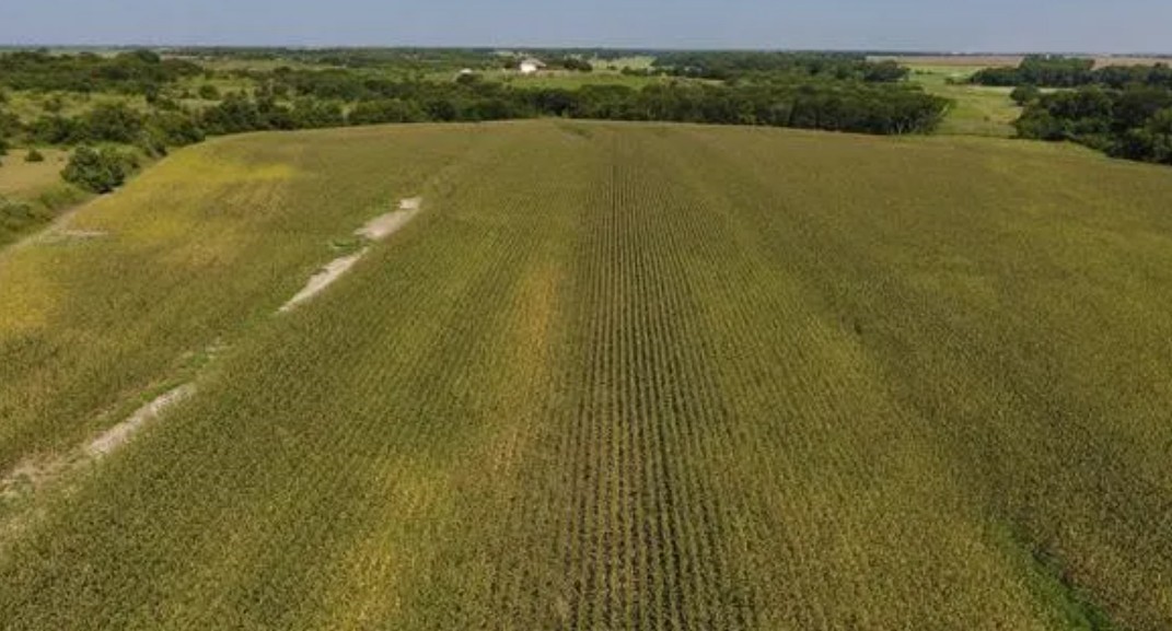 764 Hcr 3422 County Road 3422 Bynum TX 76631