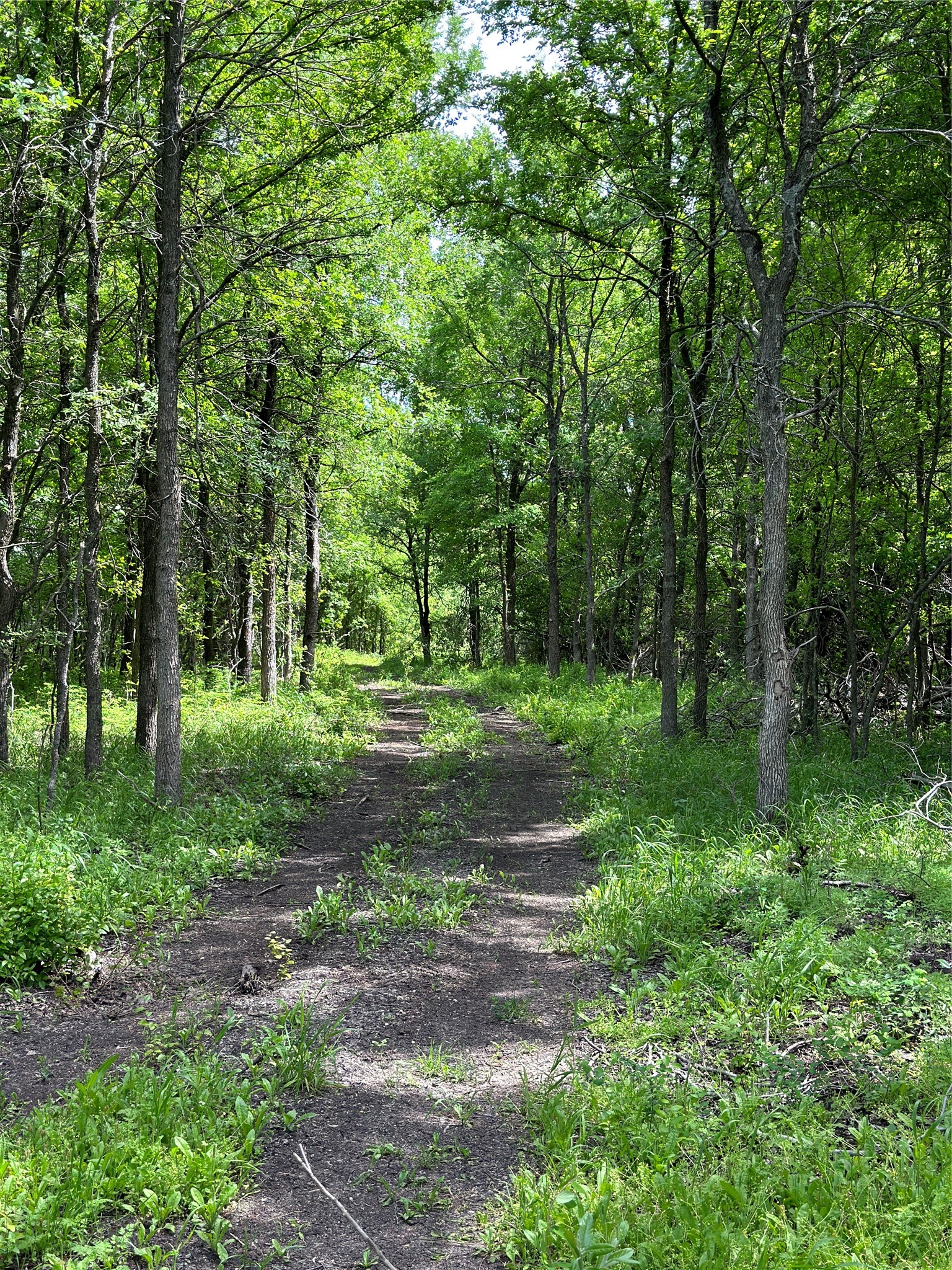 764 Hcr 3422 County Road 3422 Bynum TX 76631
