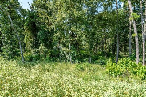 Lot 2 Deer Lake Bullard TX 75757