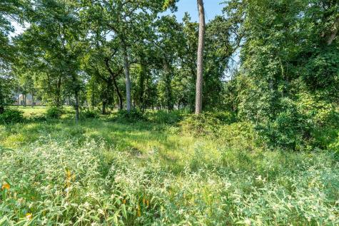 Lot 2 Deer Lake Bullard TX 75757