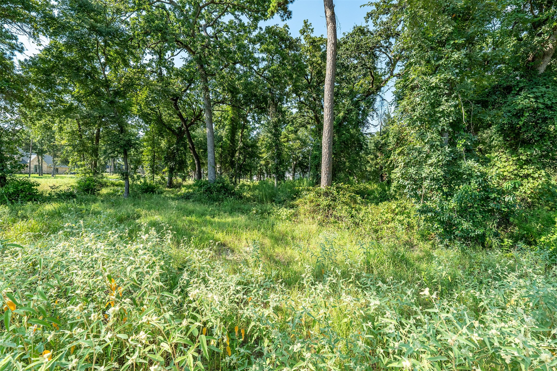Lot 2 Deer Lake Bullard TX 75757