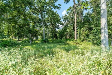 Lot 2 Deer Lake Bullard TX 75757