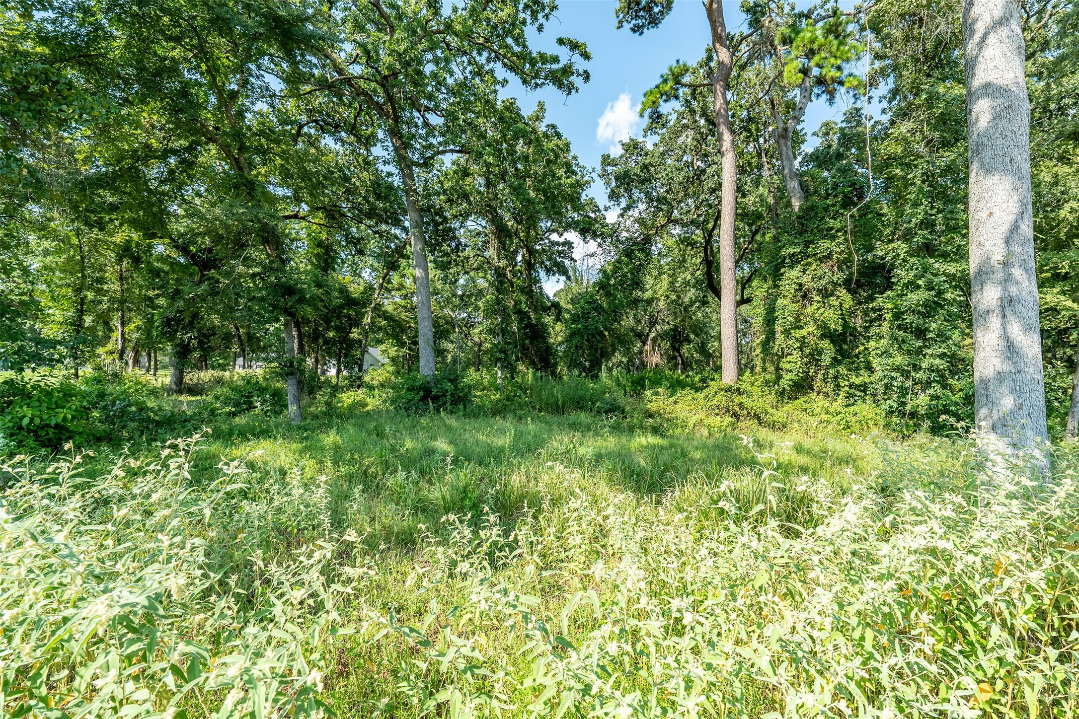 Lot 2 Deer Lake Bullard TX 75757