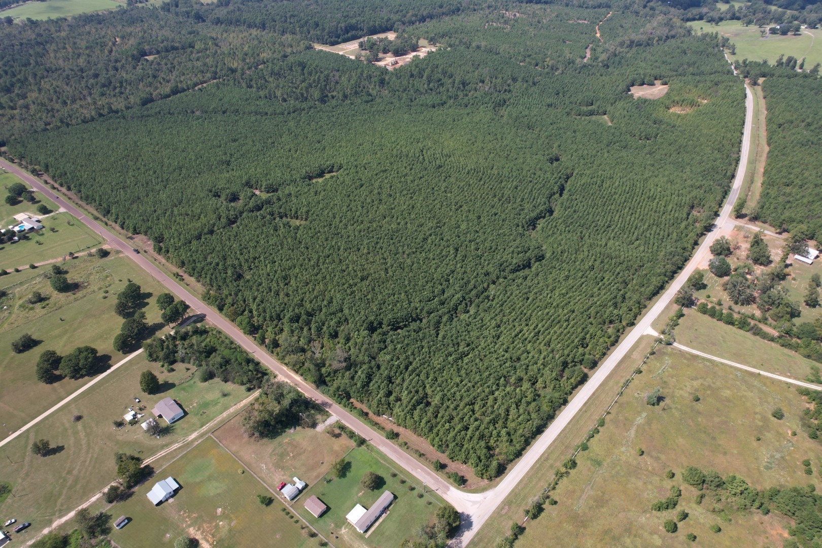 Tbd-l Lincoln Springs Road Gladewater TX 75647