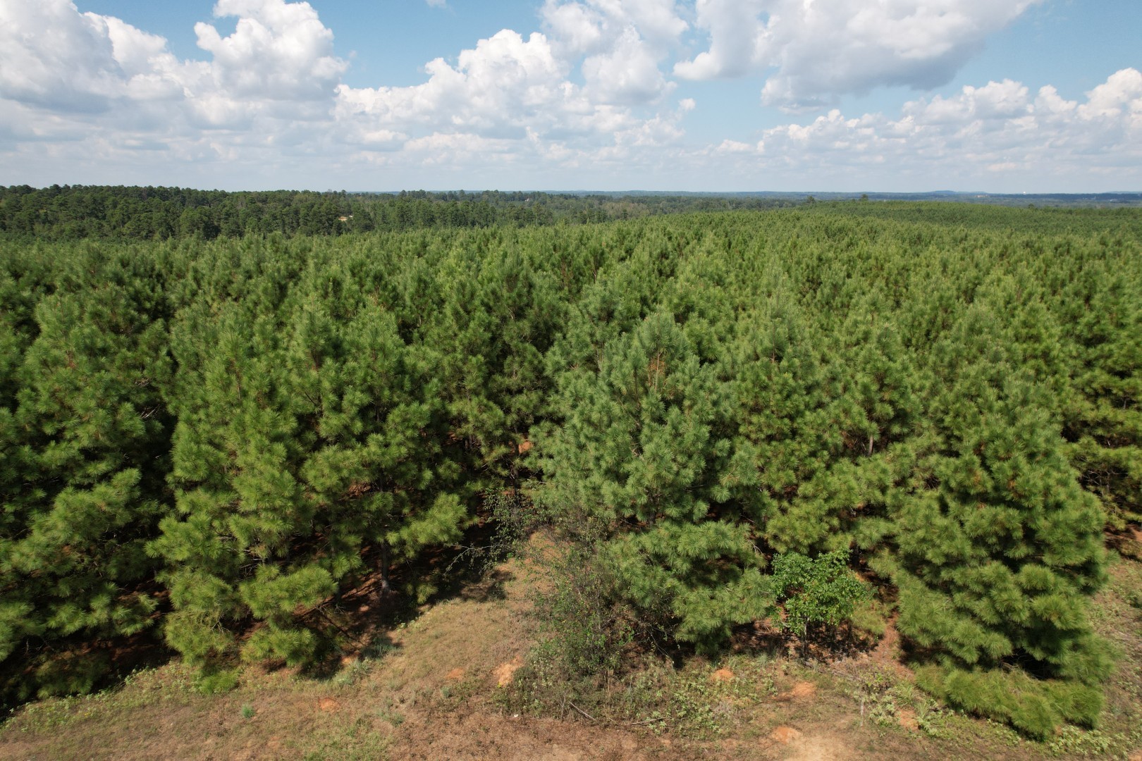 Tbd-l Lincoln Springs Road Gladewater TX 75647