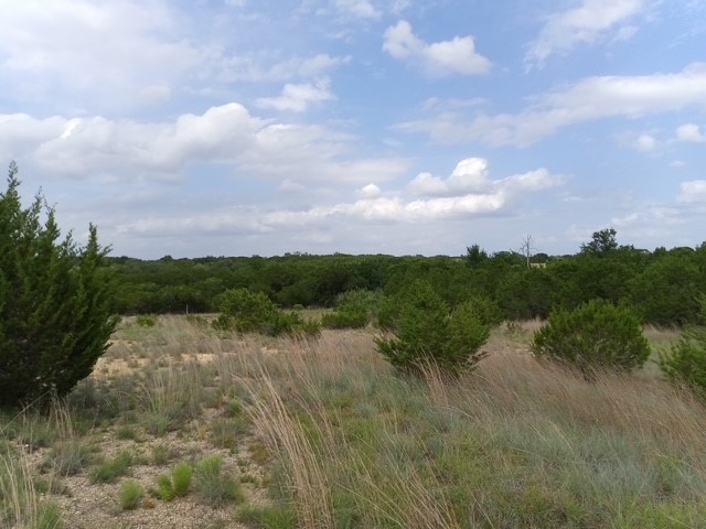 1249 County Road 2357 Meridian TX 76665