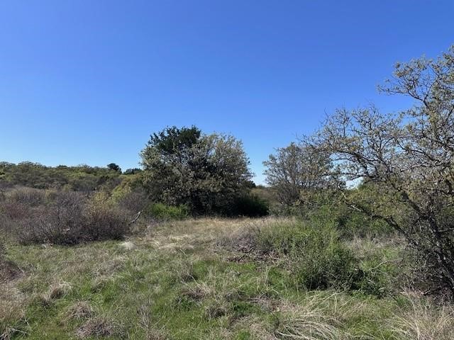 Lot 148 Hidden Shores Drive Cisco TX 76437