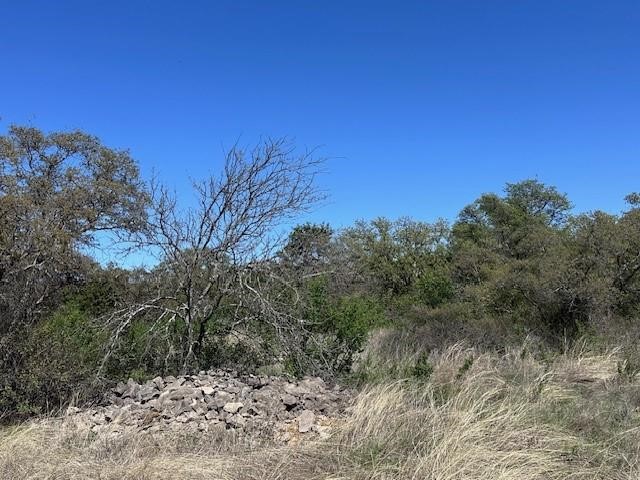 Lot 148 Hidden Shores Drive Cisco TX 76437