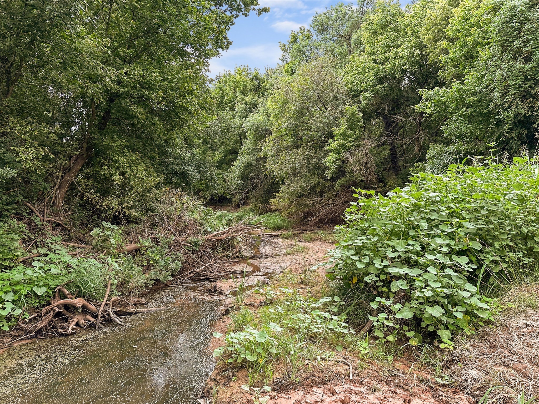 6977 E Fm 171 Byers TX 76357