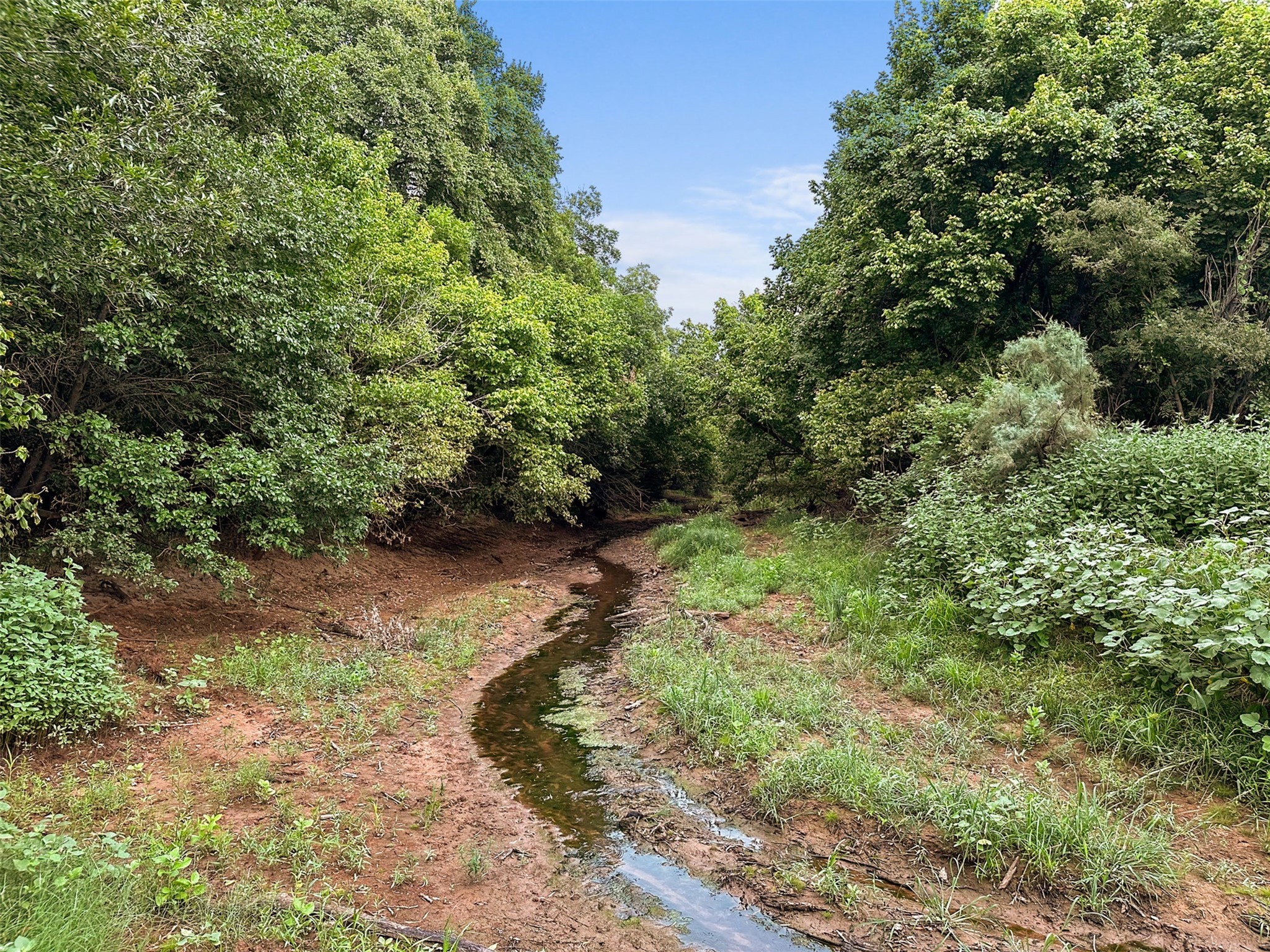 6977 E Fm 171 Byers TX 76357