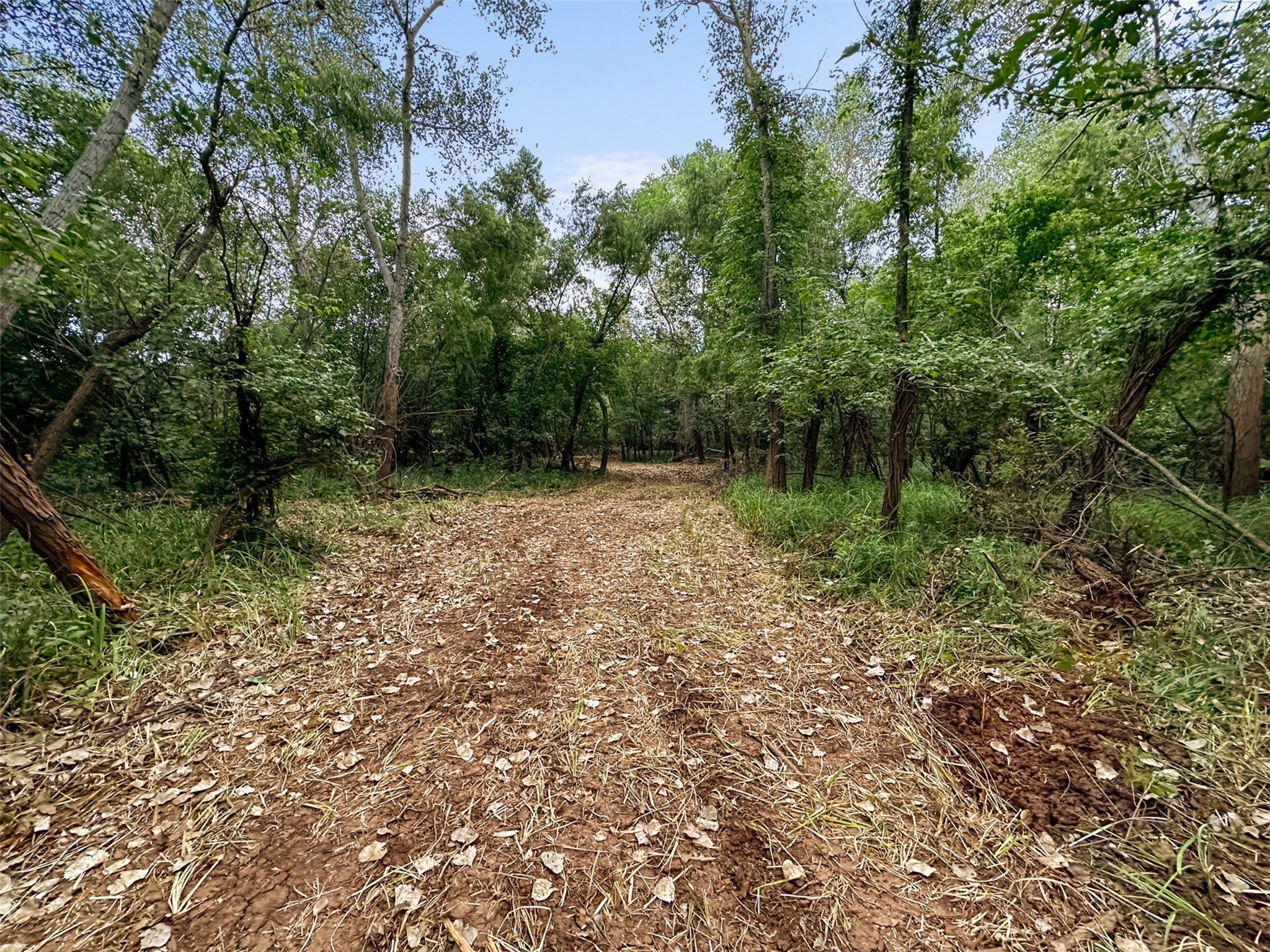 6977 E Fm 171 Byers TX 76357