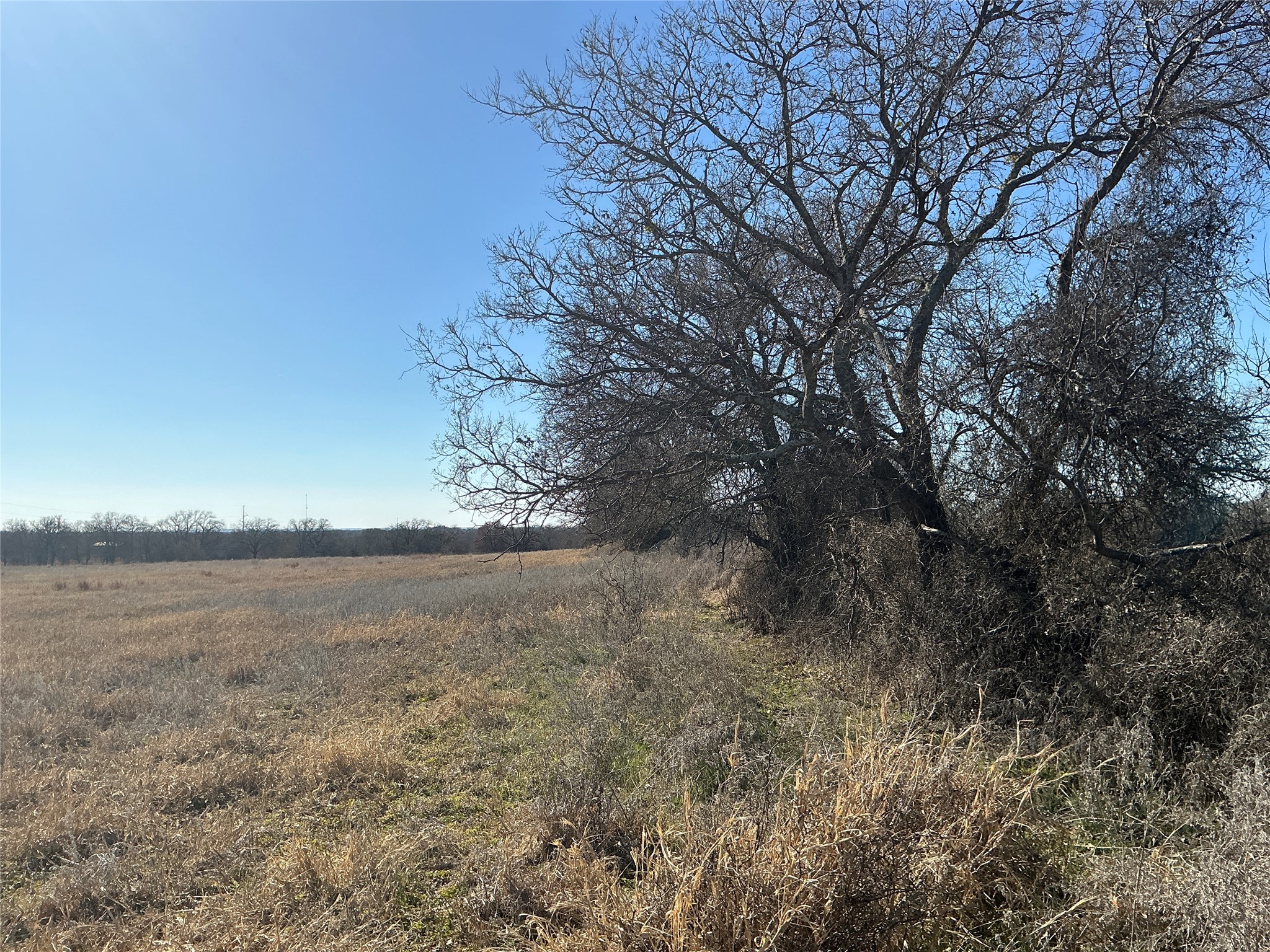 Tbd County Road 152 Comanche TX 76442